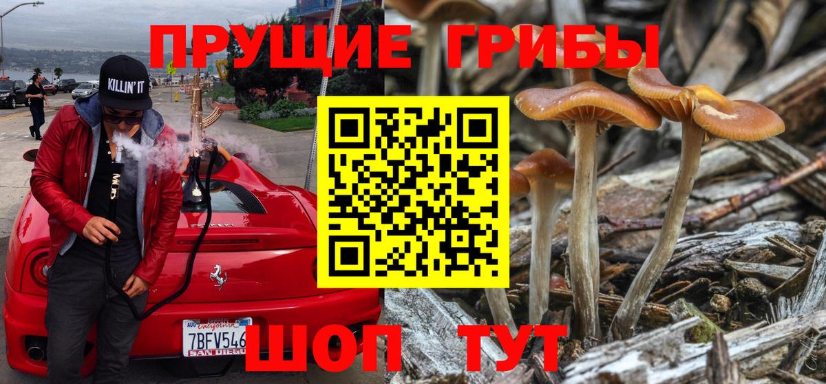 Кувандык  Галлюциногенные грибы GOLDEN TEACHER  как найти наркотики  Вход с VPN 